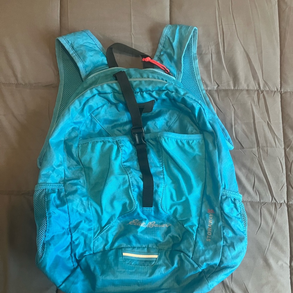 Eddie Bauer Stowaway 30L Backpack